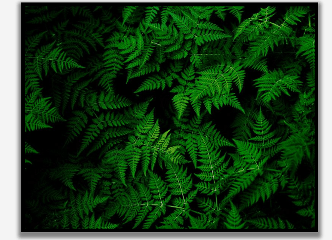 CSS Sliders - Parallax Horizontal Image Scroller -- No JS!