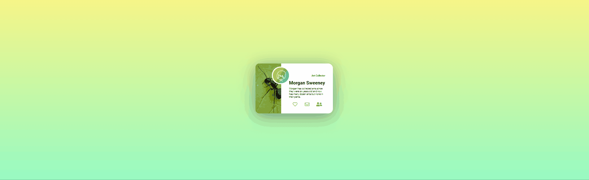 CSS Cards - tailwindcss card demo