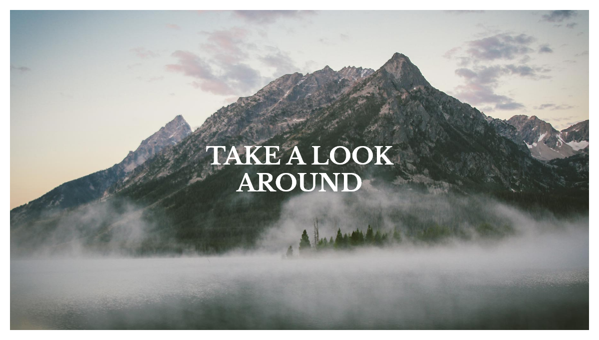 JavaScript Background Effects - Move background perspective on mouse move effect