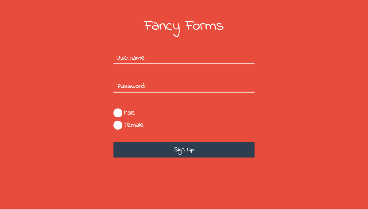 CSS Forms - Fancy Forms