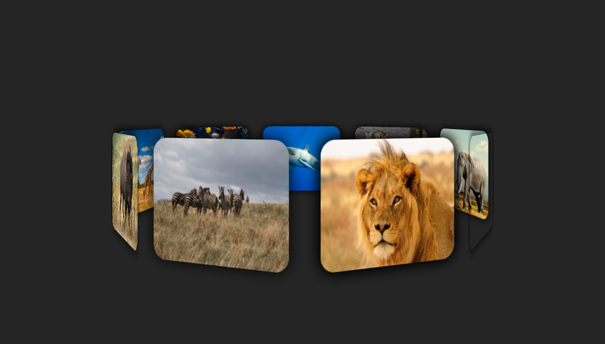 CSS Sliders - 3D Slider