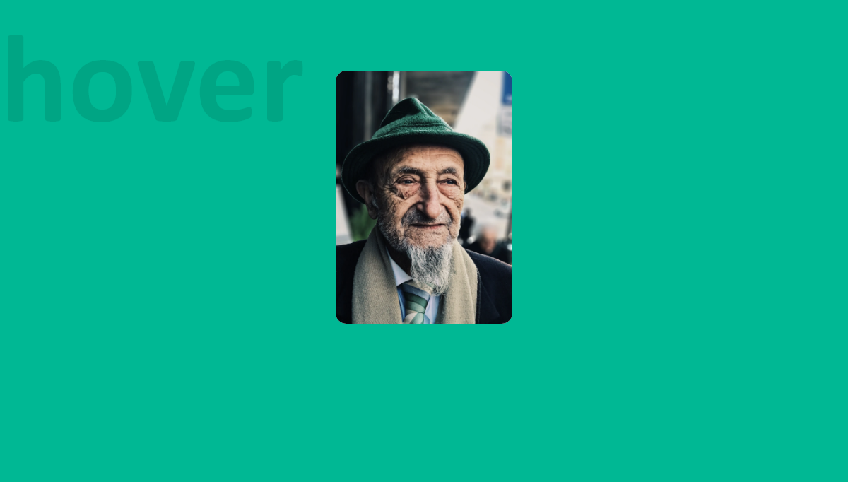 CSS Business Cards - Fancy Hover Effect For Cards