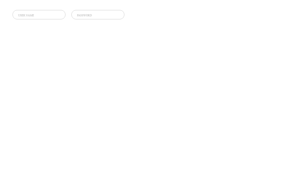 CSS Input Text - Animated input labels
