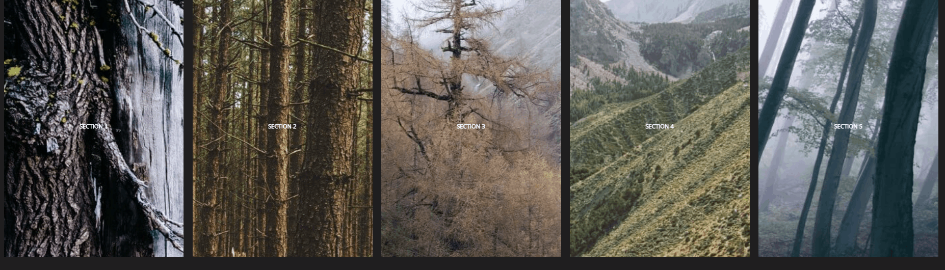 CSS Animation Examples - Cool Layout with Complex Chainable Animation