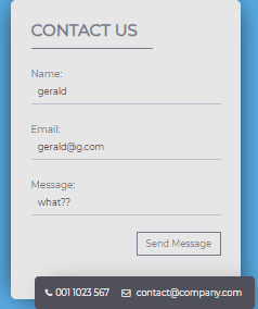 CSS Contact Forms - Light Contact Form UI