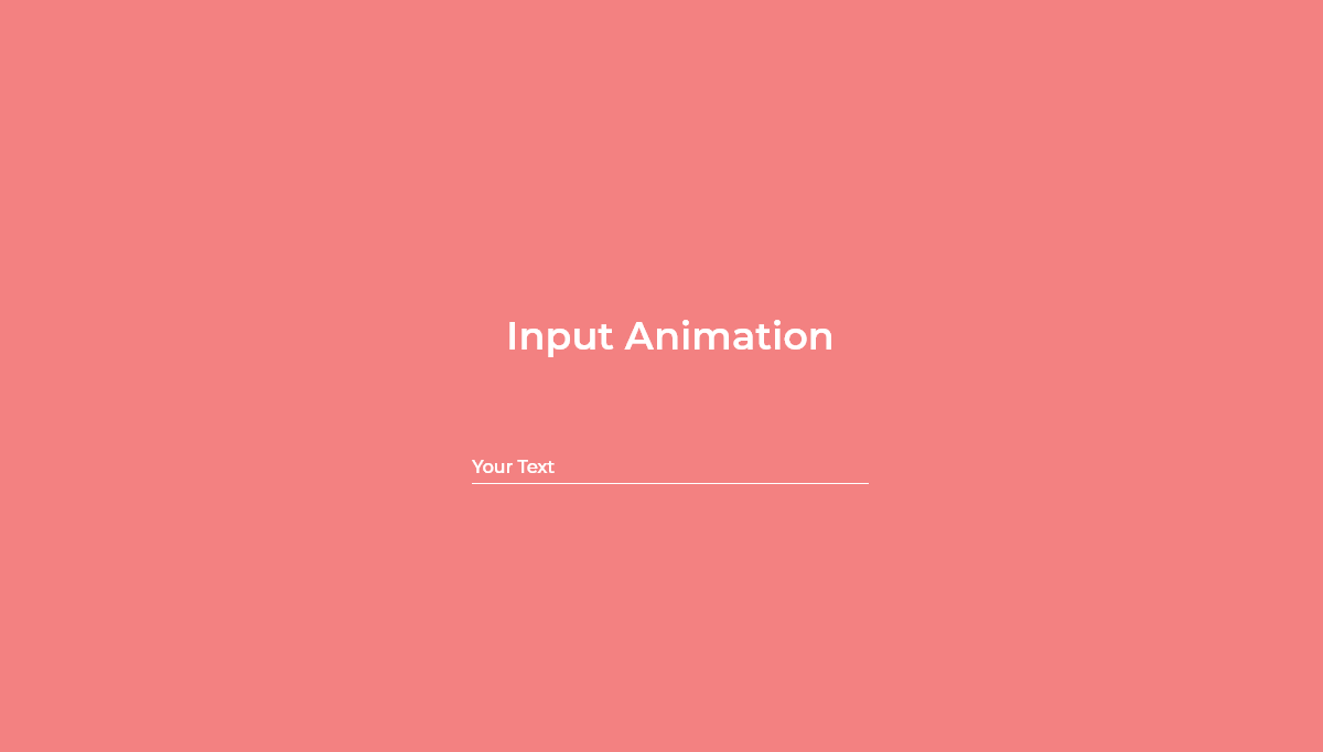 CSS Input Text - Input Animation CSS