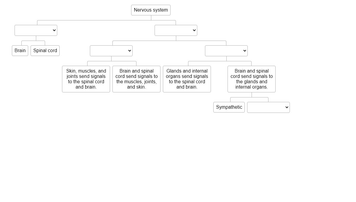 CSS Flowcharts - Accessible tree quiz