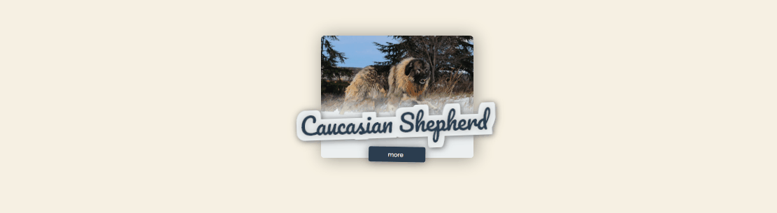 HTML <figure> & <figcaption> with CSS - Playful CSS figure & figcaption