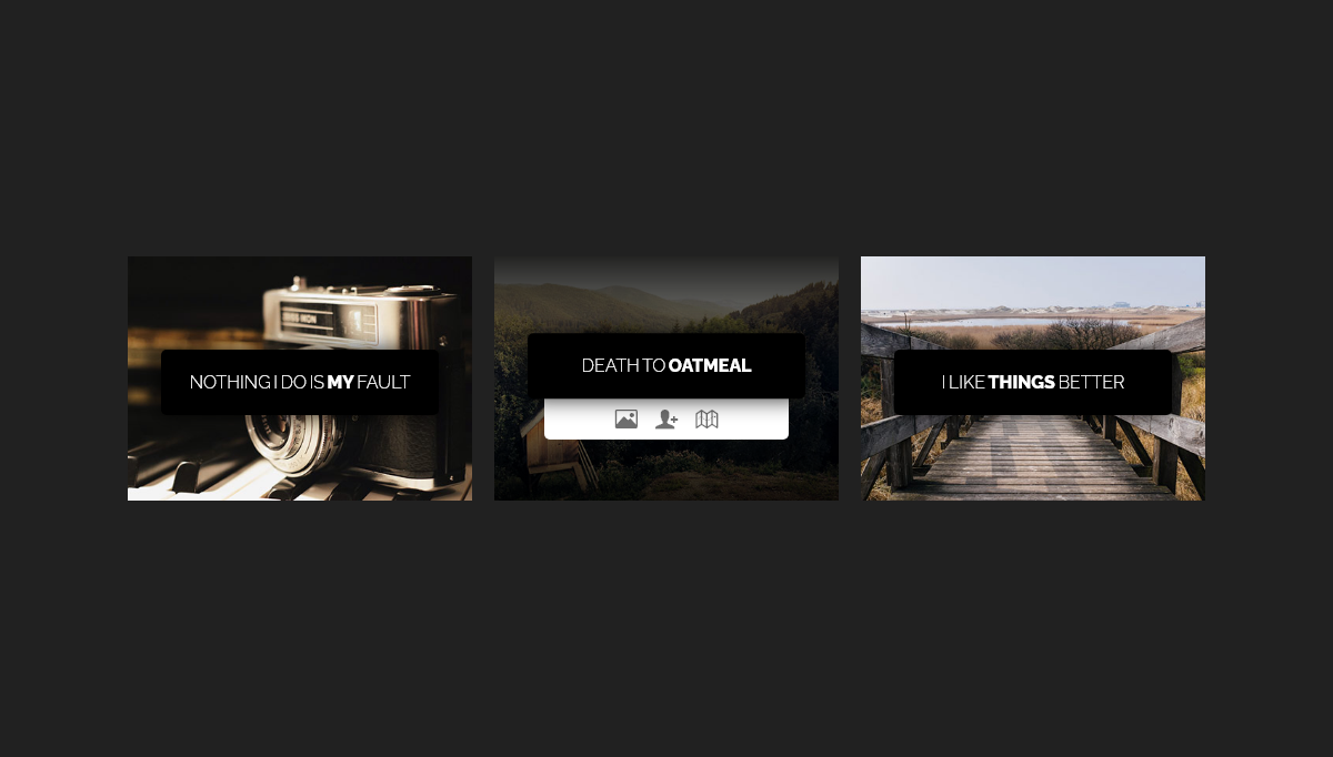 CSS Image Effects - #1029 - Image hover effect with caption & icons