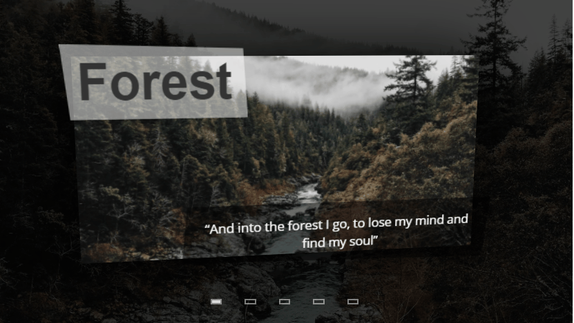 Bootstrap Sliders - Anirudha Bhowmik zoom image slider 