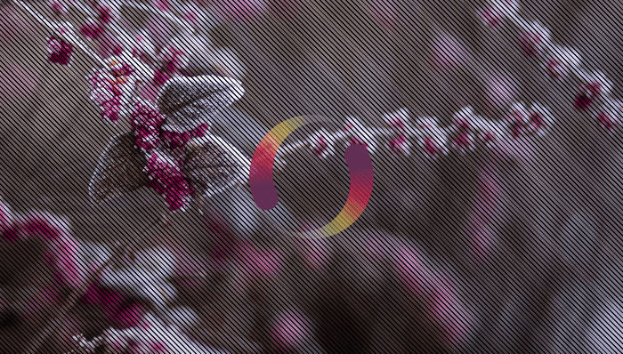 CSS Loaders - Pure CSS Loader - 1 Element Transparency Tails