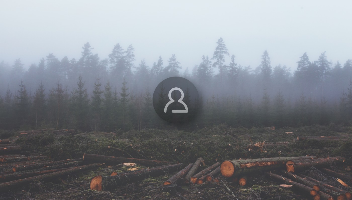 CSS Forms - LogIn Form