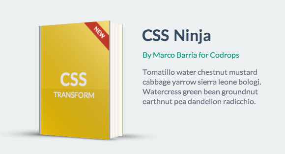 CSS Book Effects - Animated Books with CSS 3D Transforms