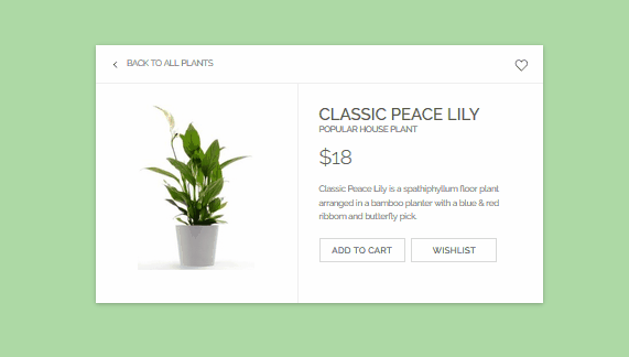 CSS Product Cards - Green E-Commerce Card