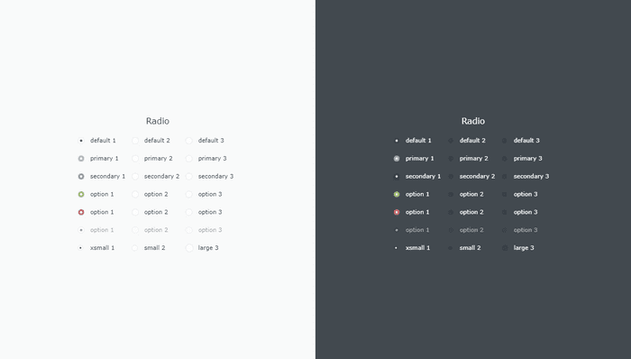 Radio Buttons CSS - ui-snippets-template