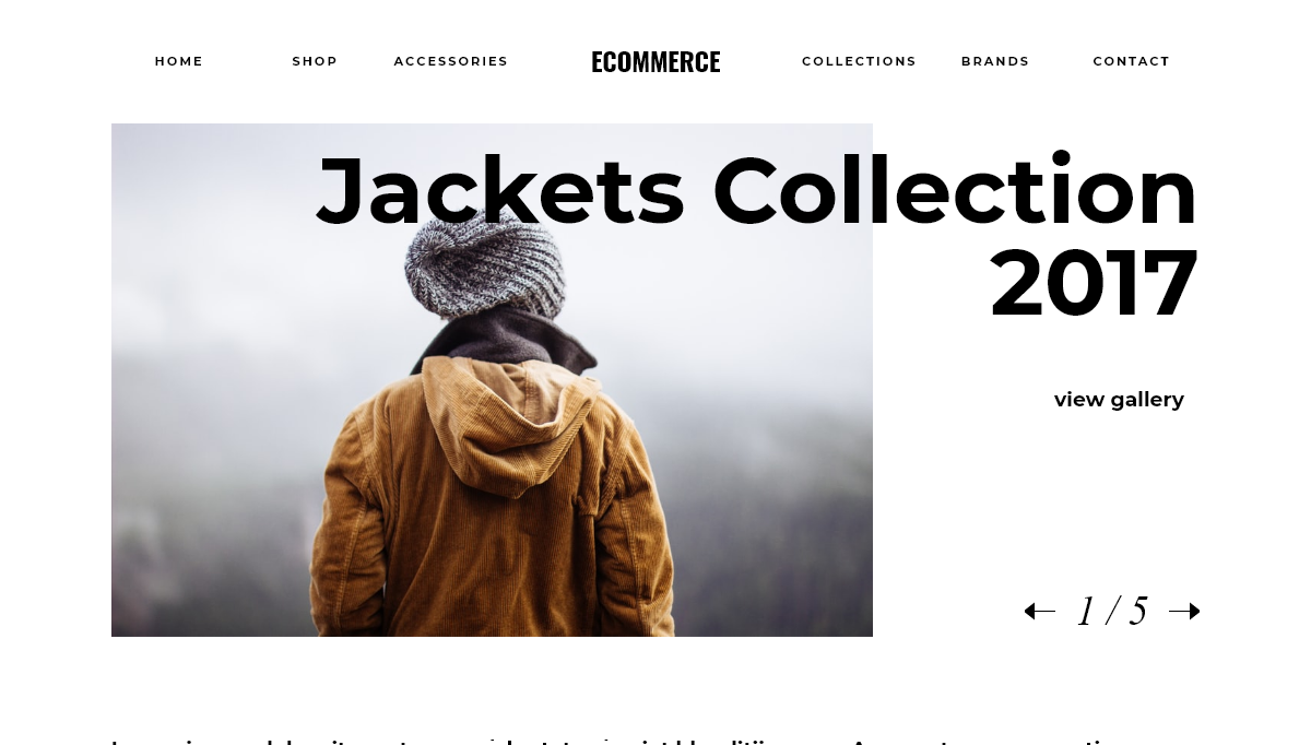 CSS Sliders - Ecommerce Slider v2.1