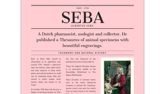 CSS Magazine Layouts - Magazine Grid Layout Vol. II