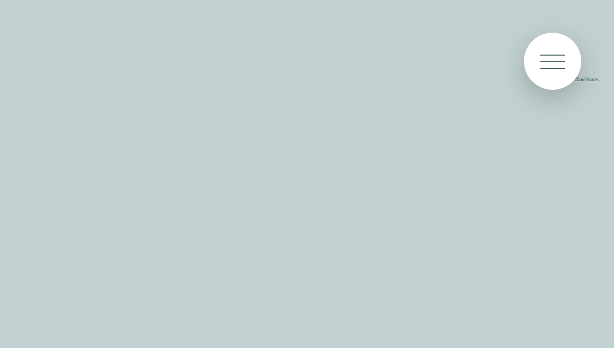 CSS Fullscreen Menus - Efeito - Hamburger Menu full screen
