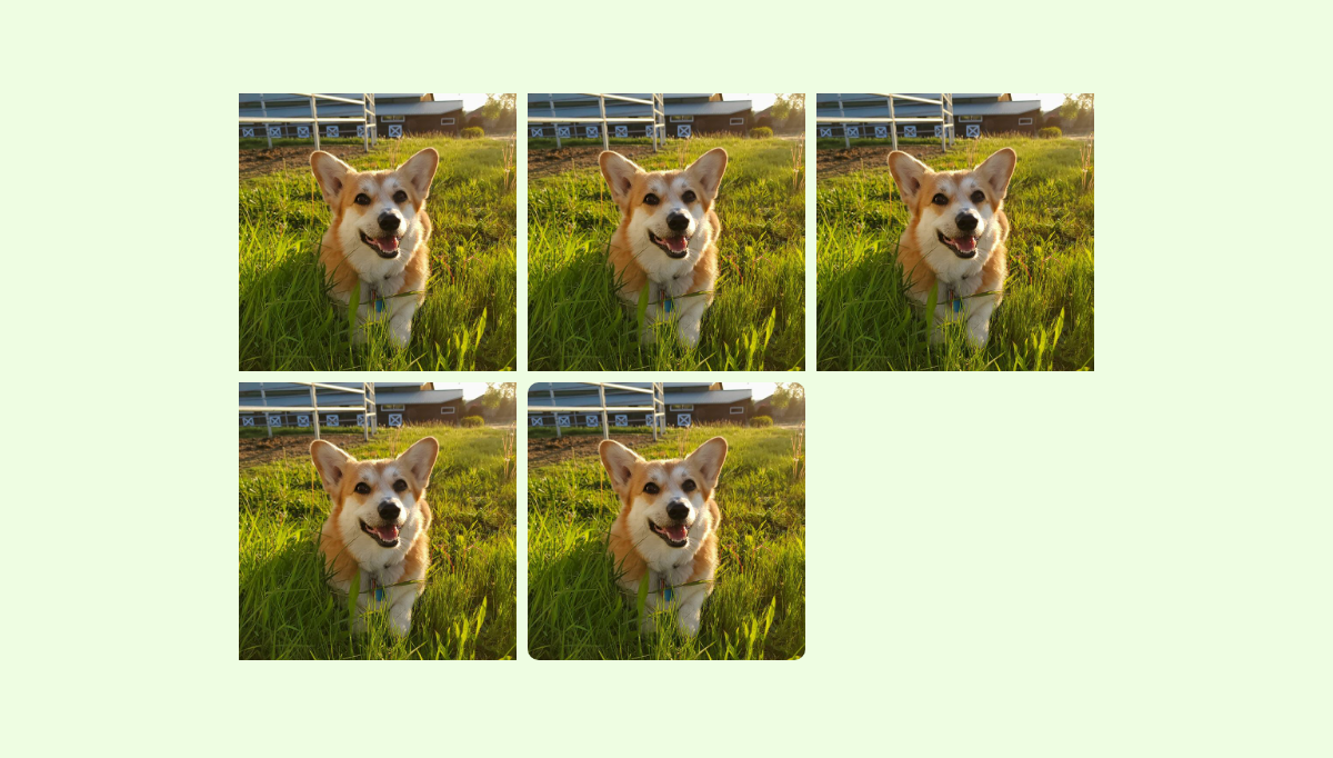 CSS Hover Effects - Image Hover