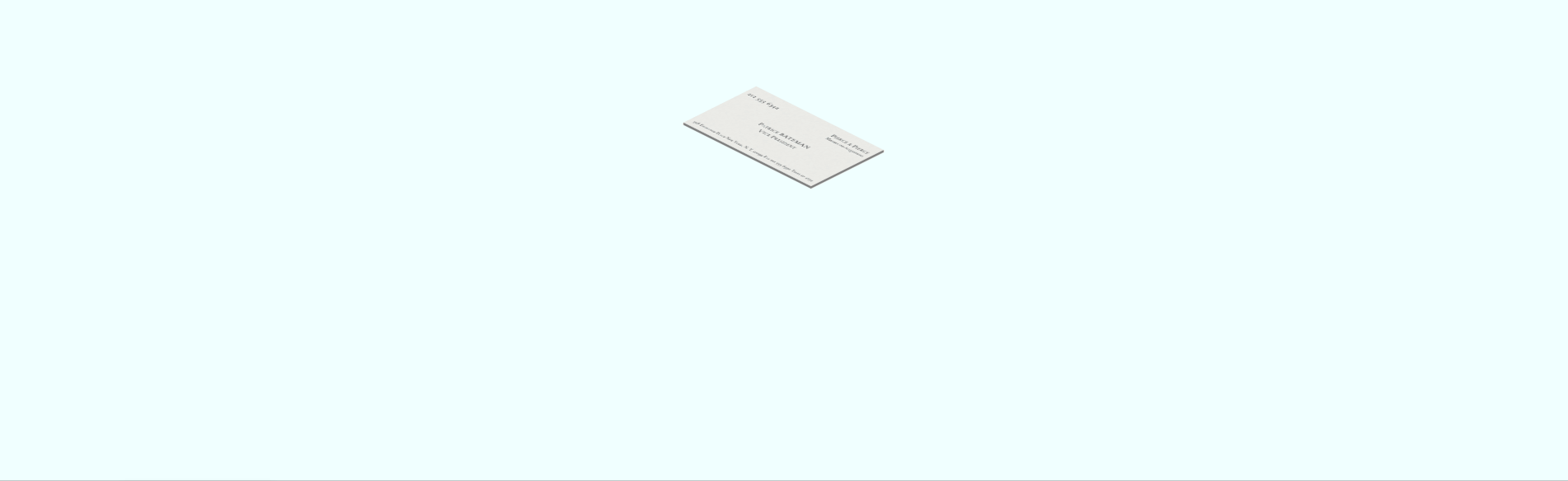 CSS Business Cards - CSS Business Card