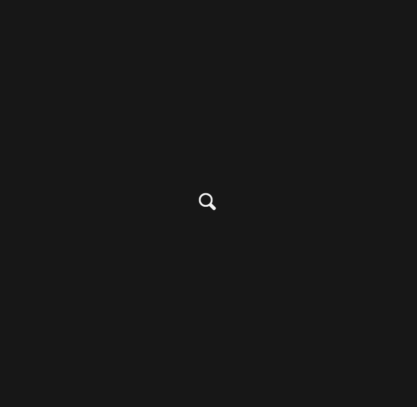 CSS Search Boxes - Animated Search Interaction