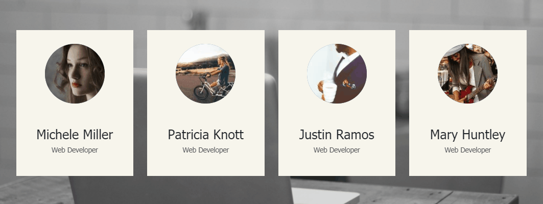CSS Profile Cards