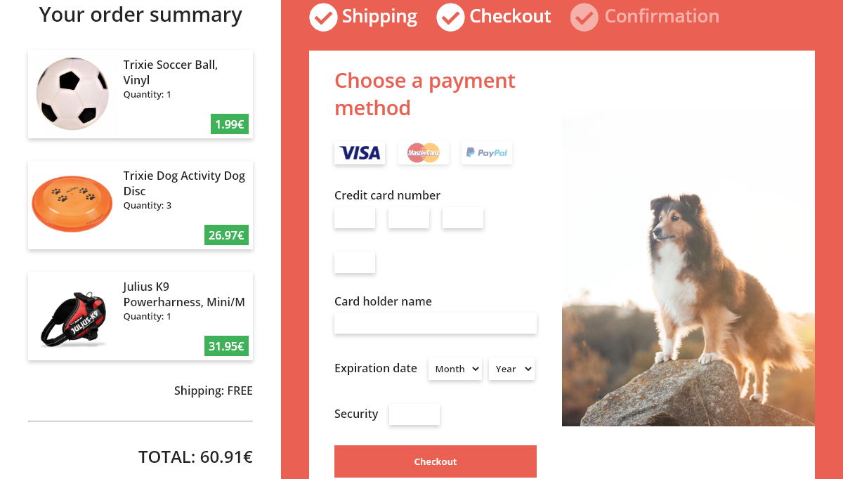 CSS Checkout Forms - Credit Card Checkout