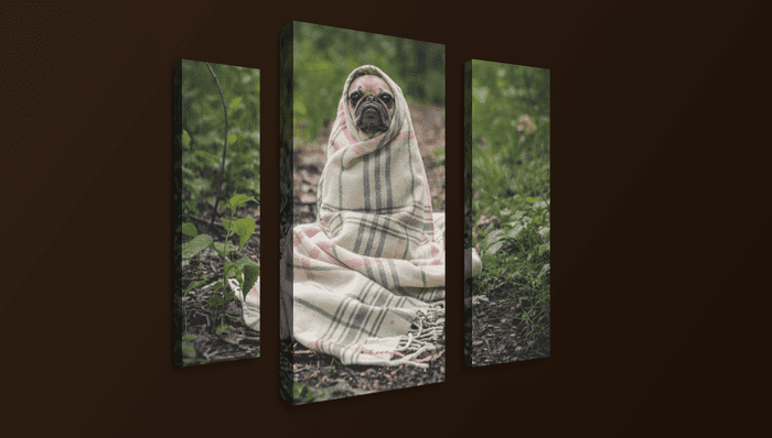 CSS Image Effects - One background for multiple divs
