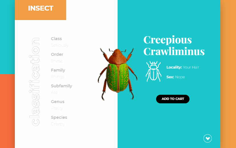 CSS Sliders - Pure CSS Bug ECommerce Interactions