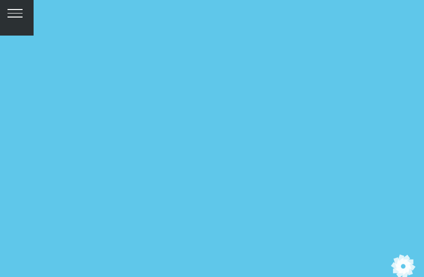CSS Toggle Menus - Vertical Layout with Navigation