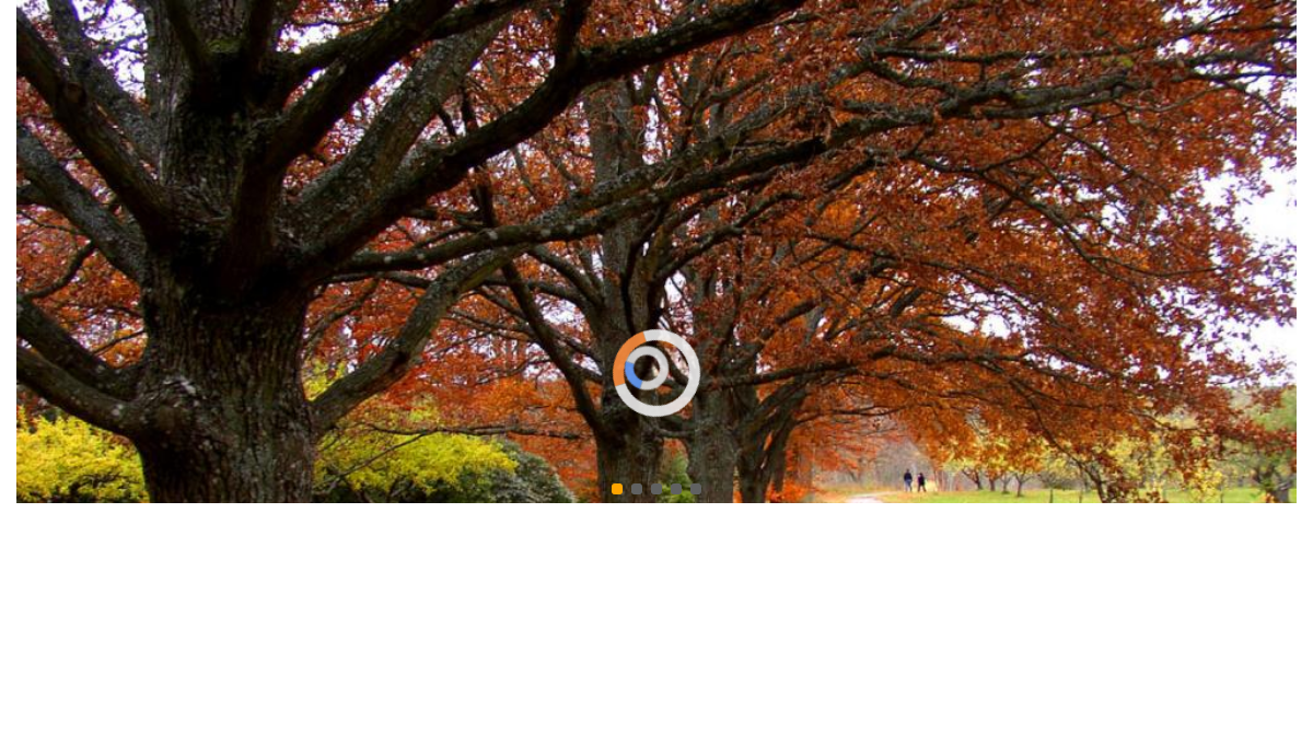 jQuery Carousels - Simple jQuery responsive Slider / Carousel