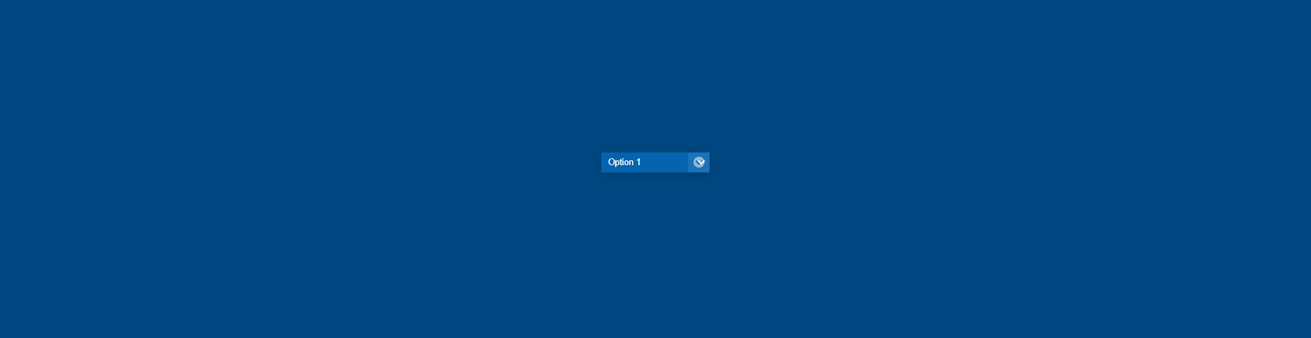 CSS Select Boxes