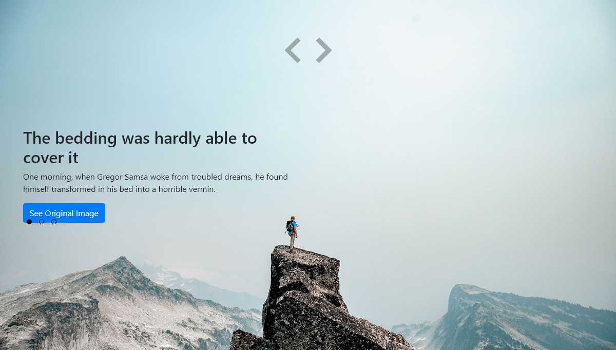 JavaScript Carousels - Carousel Slider With Owl.js