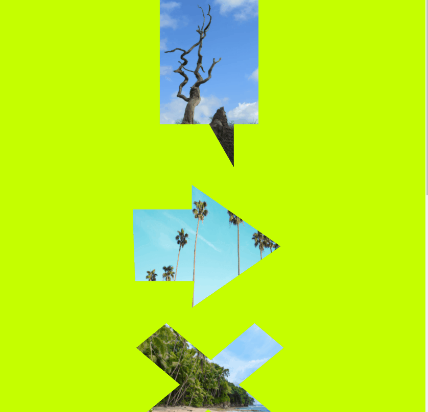 CSS Image Effects - Animated Image Clipping ✂️