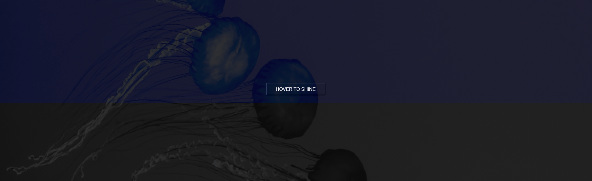 CSS Buttons - CSS Button with Hover Effect