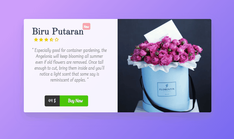 CSS Product Cards - Product Card UI / CSS