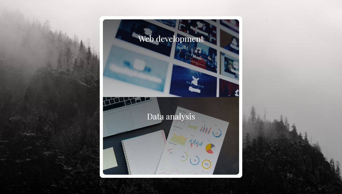 CSS Card Hover Effects - Portfolio card: Hover effect