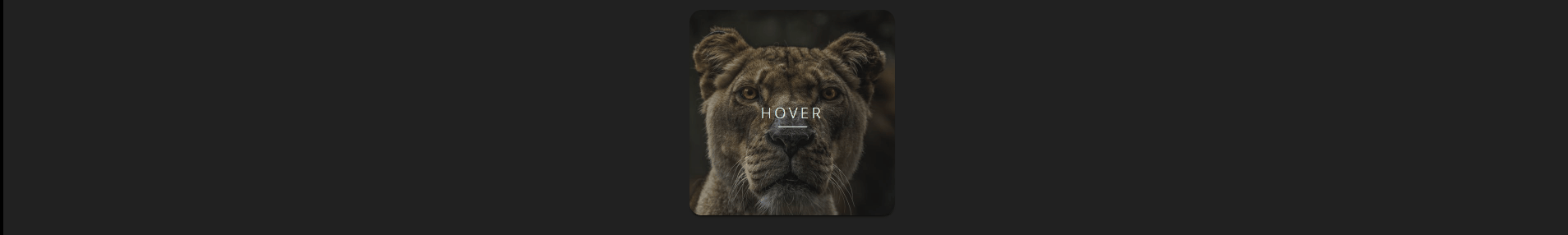 CSS Thumbnails - CSS Thumbnail responsive flexbox hover transition