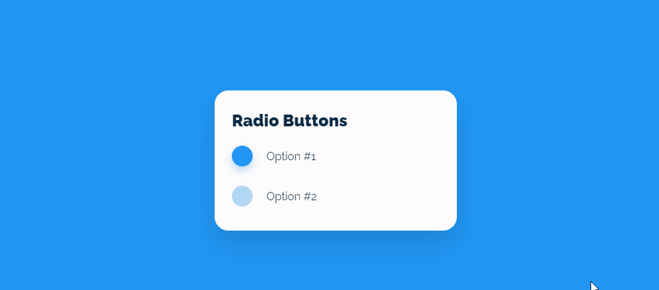 Radio Buttons CSS - CSS Radio Buttons Interaction ✨