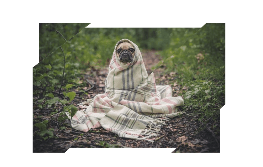 CSS Image Effects - Sliced Image